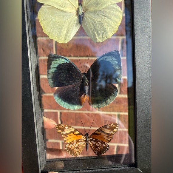 5 Butterflies Wall Hanging - Picture 9 of 10